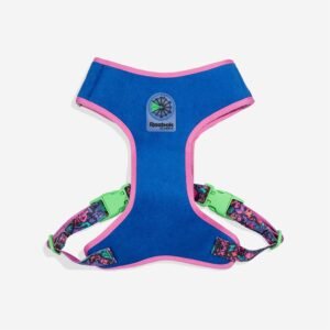 Pechera Aerobic